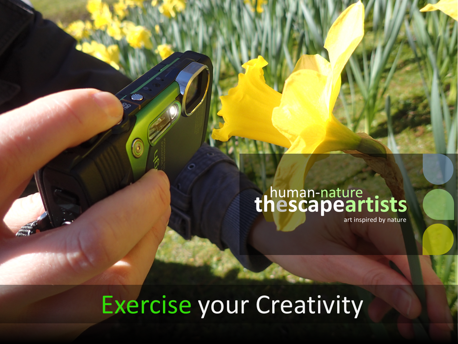 Human-Nature Escapes CIC - Exercise Your Creativity Header Page