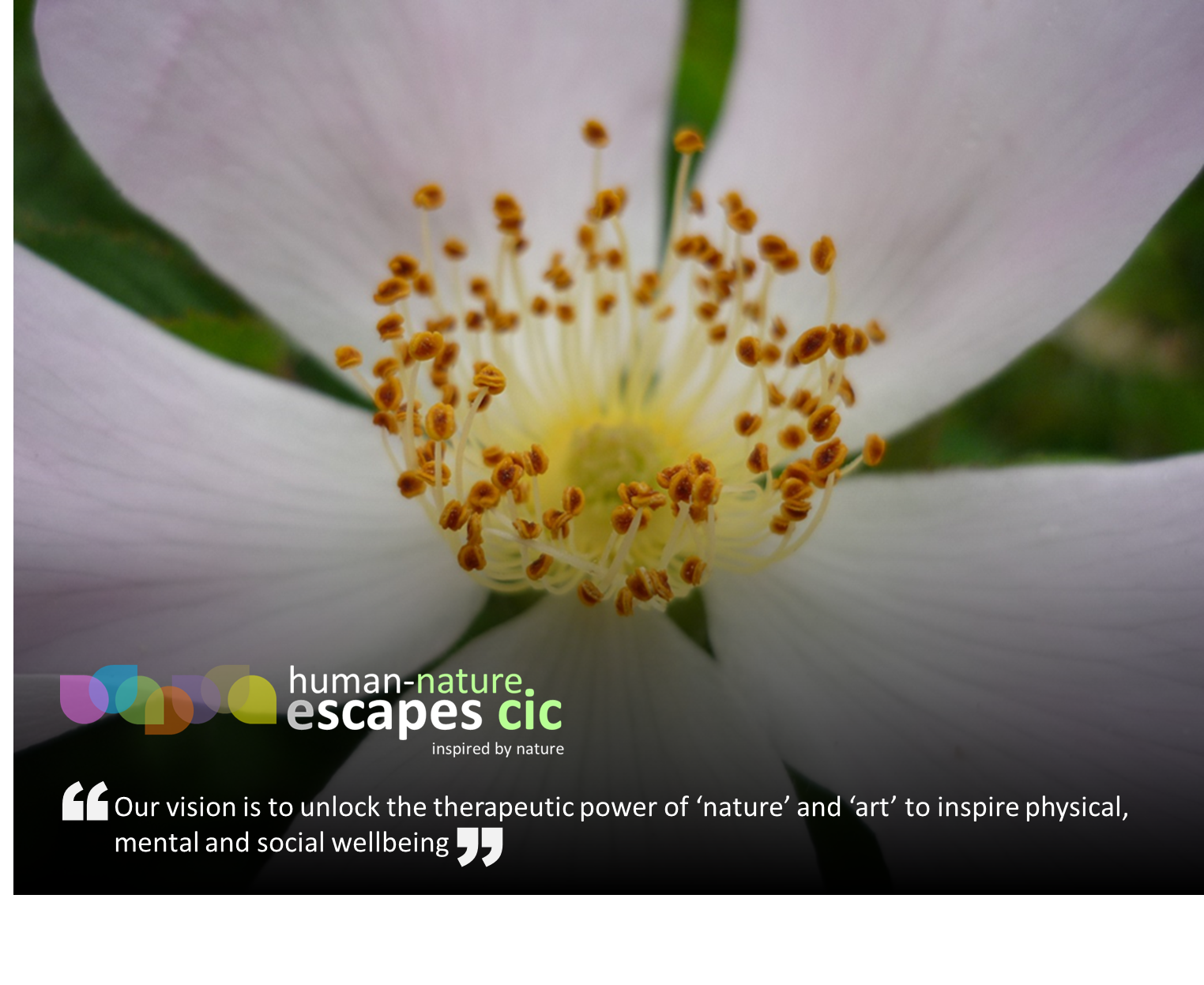 Human-Nature Escapes CIC Our Vision