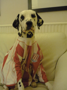 Human-Nature Escapes CIC - Lola As Stoke & Vale Fan