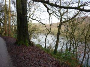 Human-Nature Escapes CIC - Rudyard Lake Image 1