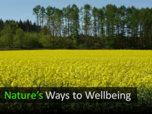 Ways to Wellbeing