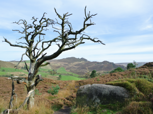 Human-Nature Escapes CIC - Staffordshire Landscapes #sot2021 Image 15