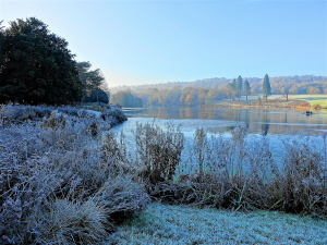 Human-Nature Escapes CIC - Staffordshire Landscapes #sot2021 Image 18