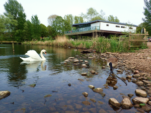 Human-Nature Escapes CIC - Staffordshire Landscapes #sot2021 Image 21