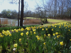 Human-Nature Escapes CIC - Staffordshire Landscapes #sot2021 Image 27