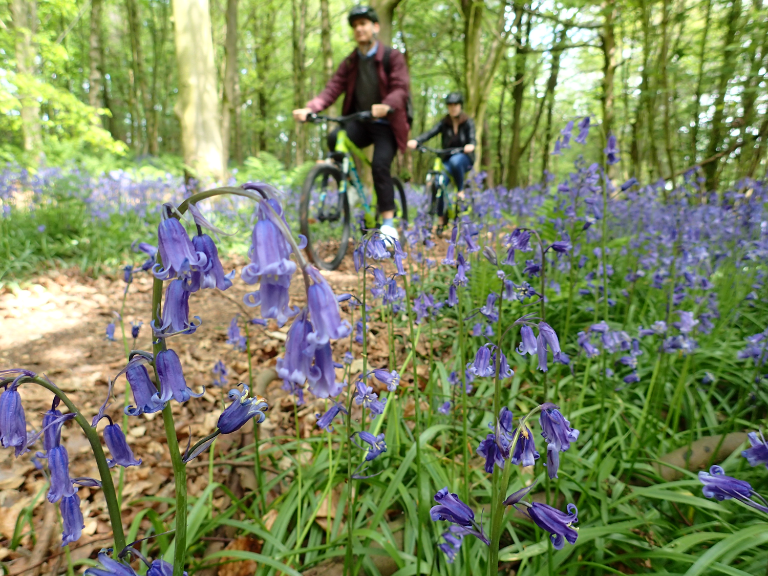 Human-Nature Escapes CIC - Participants Enjoying Greenway Cycling